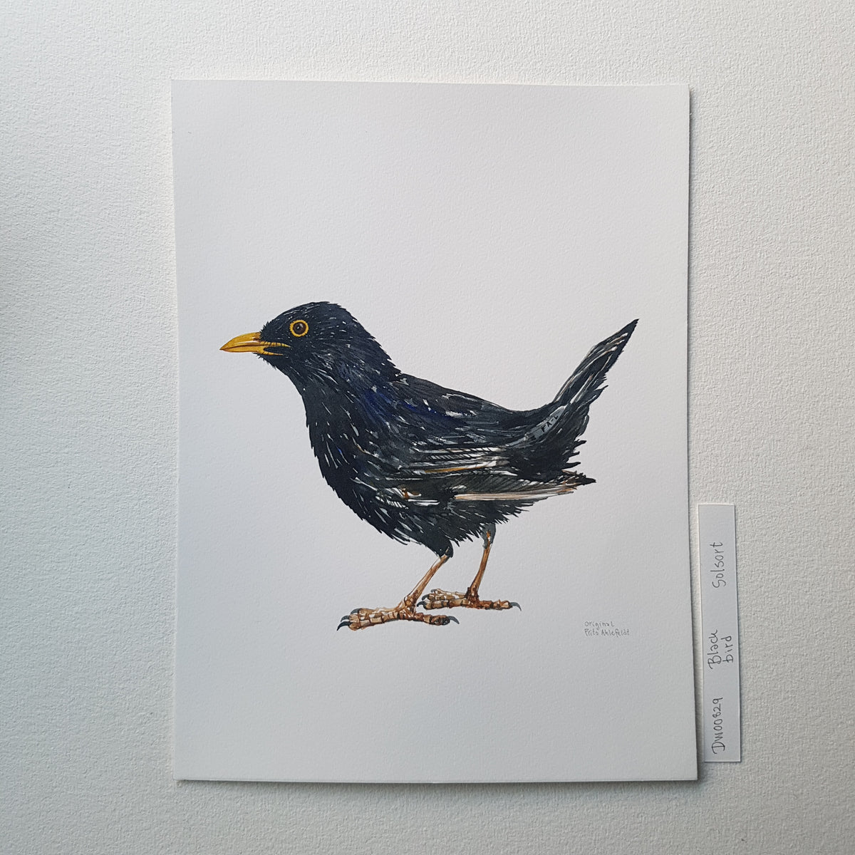 dw00829-wbg-frits-
