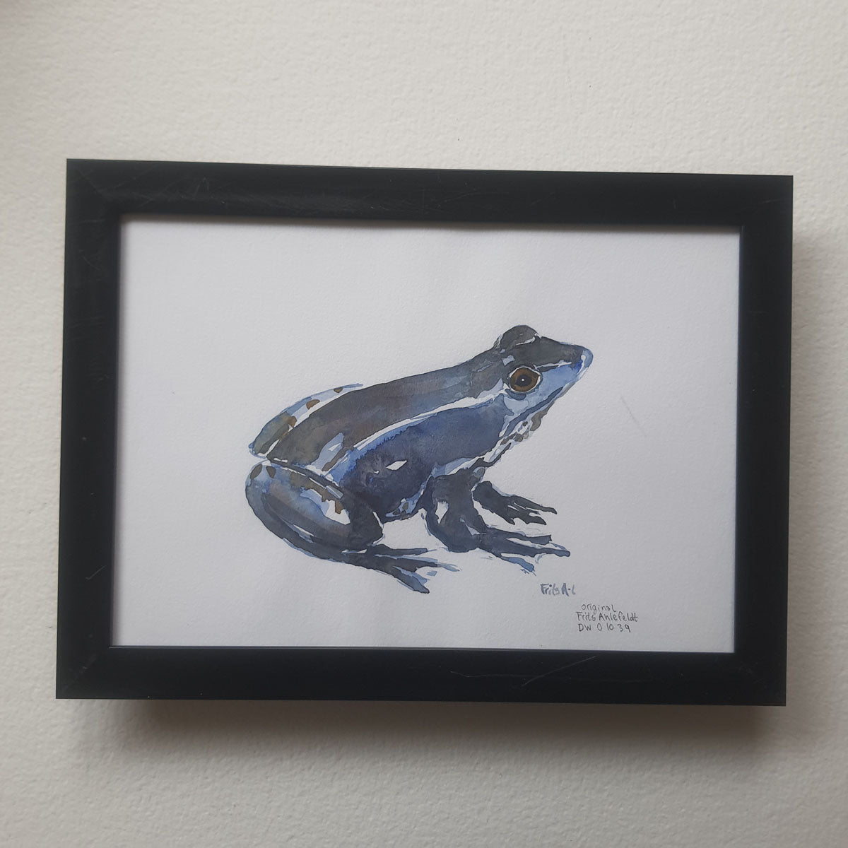 Dw01039 Original A4 Moor frog – Frits Ahlefeldt Art