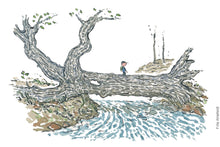Load image into Gallery viewer, Original Di02729 Fallen oak still living illustration