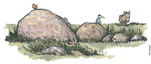 Load image into Gallery viewer, Original Di02828 Stones in Landscape illustration