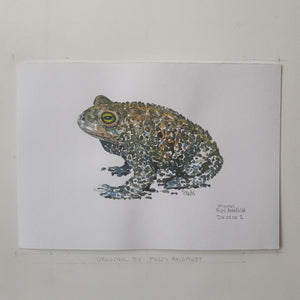 Dw00002 Original A4 Natterjack toad