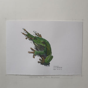 Dw00003 Original A4 European tree frog