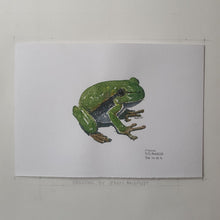 Load image into Gallery viewer, Dw00004 Original A4 European tree frog