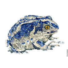 Load image into Gallery viewer, Dw00008 Original A4 Common spade foot toad