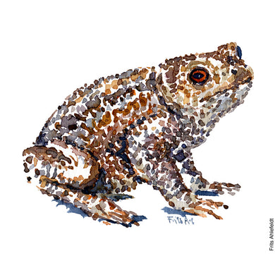 Dw00012 Original A4 Common toad