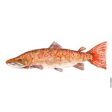 Load image into Gallery viewer, Dw00036 Original A4 Salmon fish