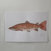 Load image into Gallery viewer, Dw00036 Original A4 Salmon fish