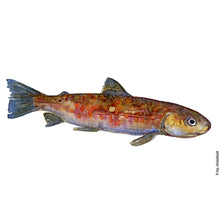 Load image into Gallery viewer, Dw00050 Original A4 Young Trout fish