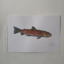 Load image into Gallery viewer, Dw00050 Original A4 Young Trout fish