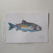 Load image into Gallery viewer, Dw00051 Original A4 Trout fish