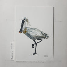 Load image into Gallery viewer, Dw00080 Original A4 Eurasian Spoonbill watercolor