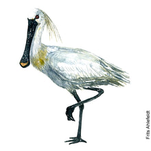 Load image into Gallery viewer, Dw00080 Original A4 Eurasian Spoonbill watercolor