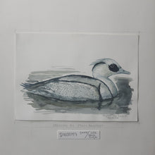 Load image into Gallery viewer, Dw00157 Original A4 Smew watercolor