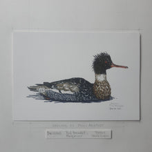 Load image into Gallery viewer, Dw00160 Original A4 Red-breasted merganser watercolor