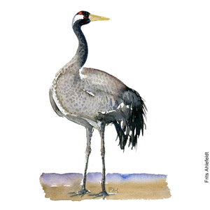 Dw00189 Original A4 Crane watercolor