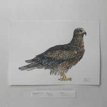 Load image into Gallery viewer, Dw00228 Original A4 Black kite watercolor