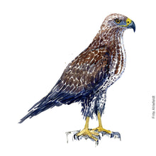 Load image into Gallery viewer, Dw00387 Original A4 Buzzard watercolor