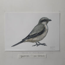 Load image into Gallery viewer, Dw00402 Original A4 Great grey shrike watercolor