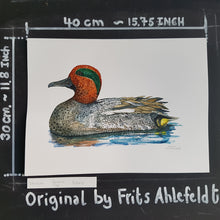 Load image into Gallery viewer, Dw00654 Original Eurasian Teal watercolor