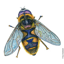 Load image into Gallery viewer, Dw00717 Original A4 Batman hooverfly watercolor