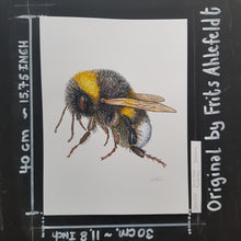 Load image into Gallery viewer, Dw00739 Original white-tailed bumblebee watercolor