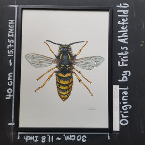 Dw00745 Original Common wasp watercolor