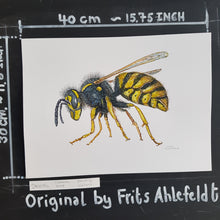 Load image into Gallery viewer, Dw00746 Original Common wasp watercolor