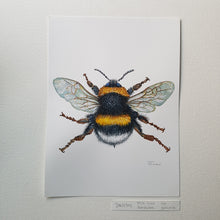 Load image into Gallery viewer, Dw00747 Original white-tailed bumblebee watercolor