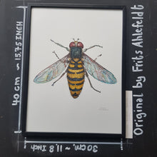 Load image into Gallery viewer, Dw00750 Original Marmalade hoverfly watercolor