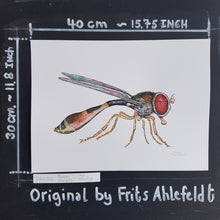 Load image into Gallery viewer, Dw00753 Original Baccha- elongata hoverfly watercolor