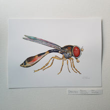 Load image into Gallery viewer, Dw00753 Original Baccha- elongata hoverfly watercolor