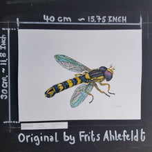 Load image into Gallery viewer, Dw00755 Original Long hoverfly watercolor