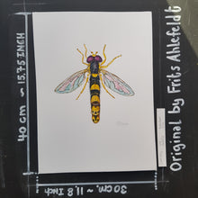Load image into Gallery viewer, Dw00756 Original Long hoverfly watercolor