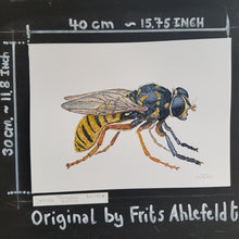 Load image into Gallery viewer, Dw00758 Original temnostoma vespiforme hoverfly watercolor