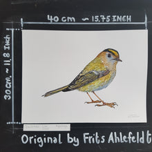 Load image into Gallery viewer, Dw00780 Original Goldcrest watercolor