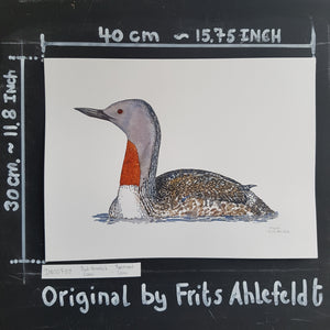 Dw00788 Original Red-throated loon watercolor