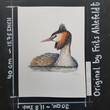 Load image into Gallery viewer, Dw00789 Original Great crested grebe watercolor