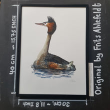 Load image into Gallery viewer, Dw00794 Original Great crested grebe watercolor