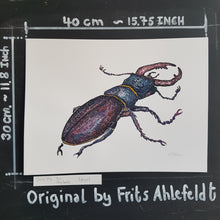 Load image into Gallery viewer, Dw00796 Original European stag beetle watercolor