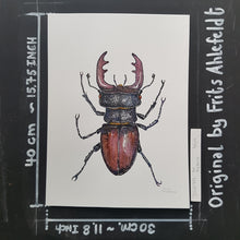 Load image into Gallery viewer, Dw00797 Original European stag beetle watercolor