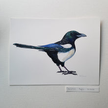 Load image into Gallery viewer, Dw00825 Original Eurasian magpie watercolor