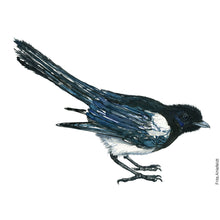 Load image into Gallery viewer, Dw00826 Original Eurasian magpie watercolor