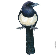Load image into Gallery viewer, Dw00827 Original Eurasian magpie watercolor