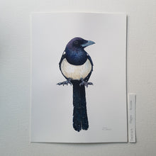 Load image into Gallery viewer, Dw00827 Original Eurasian magpie watercolor