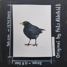 Load image into Gallery viewer, Dw00828 Original Blackbird watercolor