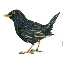 Load image into Gallery viewer, Dw00829 Original Blackbird watercolor