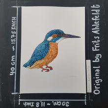 Load image into Gallery viewer, Dw00841 Original Eurasian kingfisher watercolor