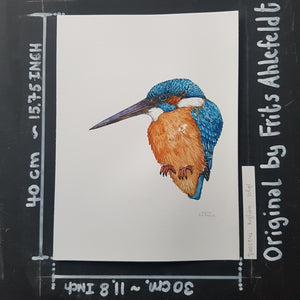 Dw00842 Original Eurasian kingfisher watercolor