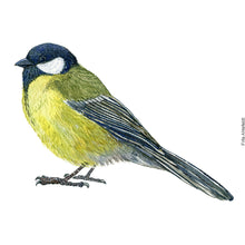 Load image into Gallery viewer, Dw00850 Original Great tit watercolor