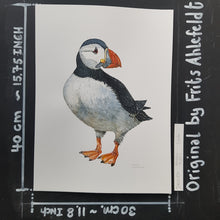 Load image into Gallery viewer, Dw00854 Original Atlantic puffin watercolor